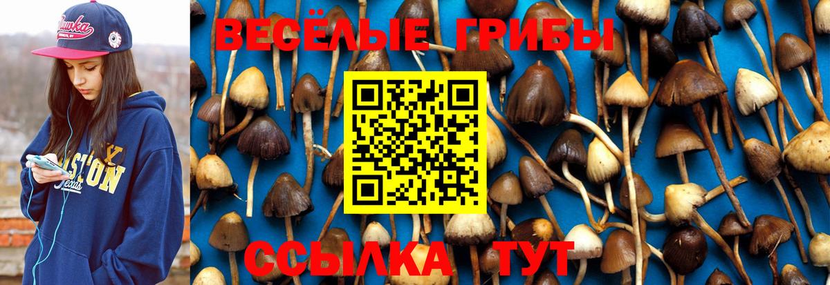 Галлюциногенные грибы GOLDEN TEACHER  Вход с VPN  Галлюциногенные грибы Psilocybe  Шарыпово 